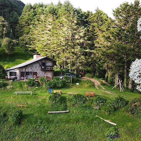 San Ignacio El Pital Ecolodge المظهر الخارجي الصورة
