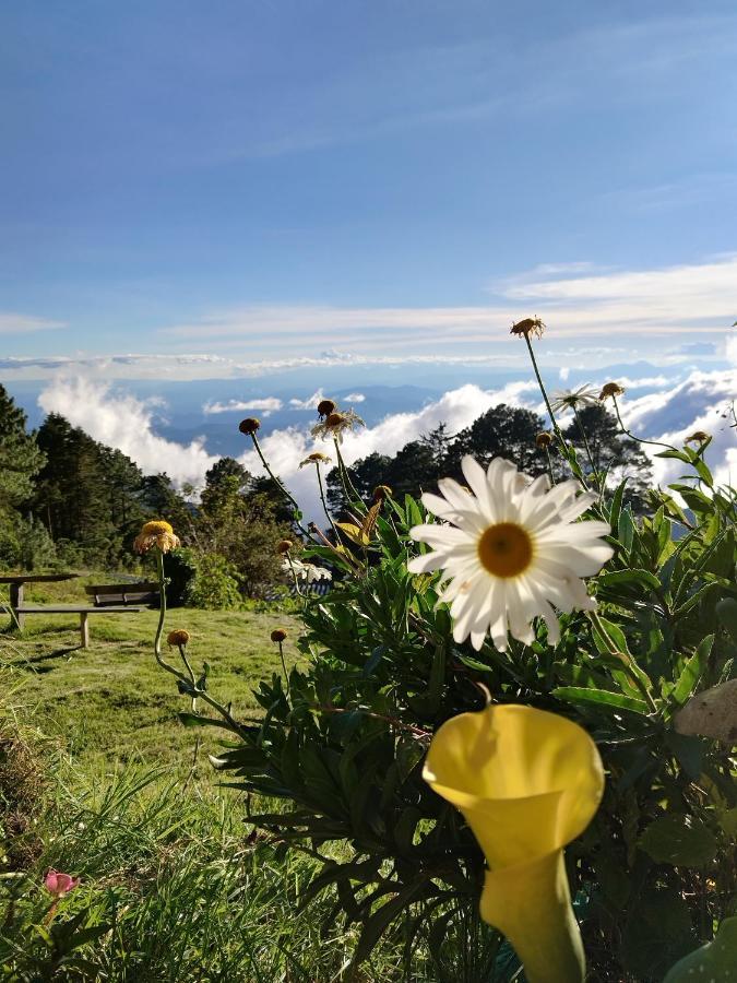 San Ignacio El Pital Ecolodge المظهر الخارجي الصورة