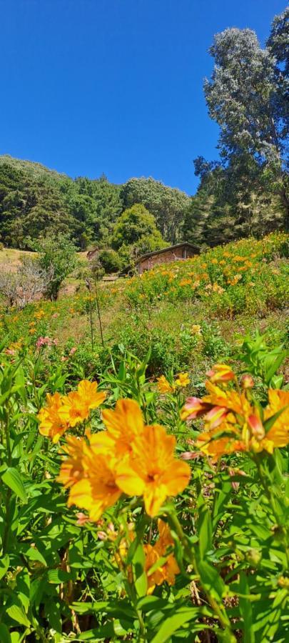 San Ignacio El Pital Ecolodge المظهر الخارجي الصورة