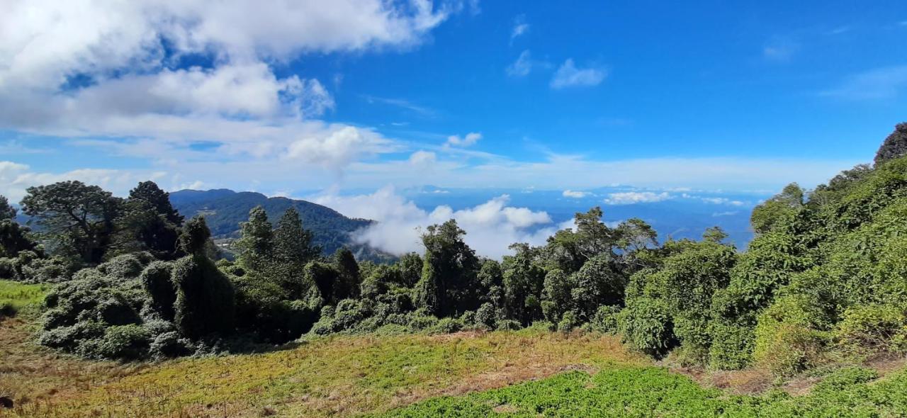 San Ignacio El Pital Ecolodge المظهر الخارجي الصورة