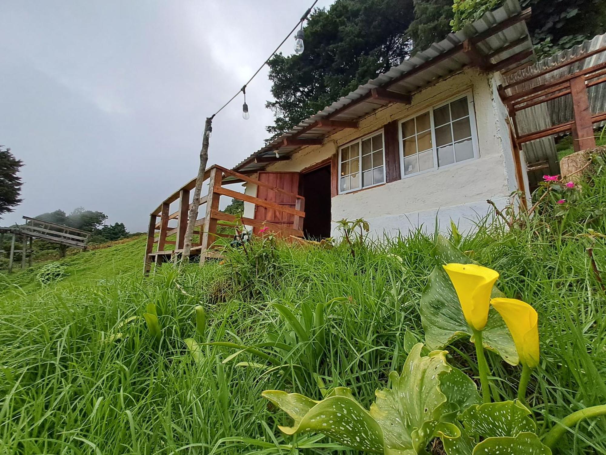 San Ignacio El Pital Ecolodge المظهر الخارجي الصورة